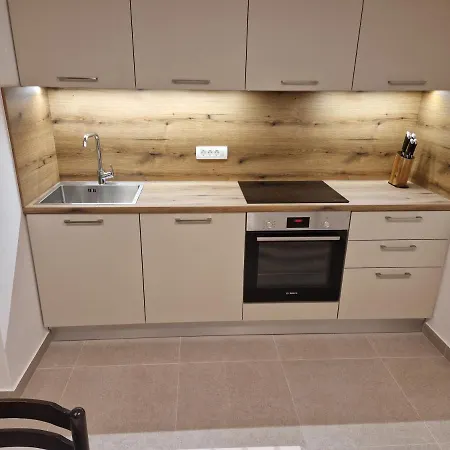 Apartment Cerovic