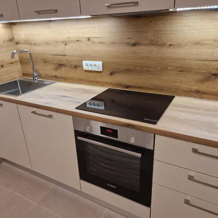 Apartment Cerovic