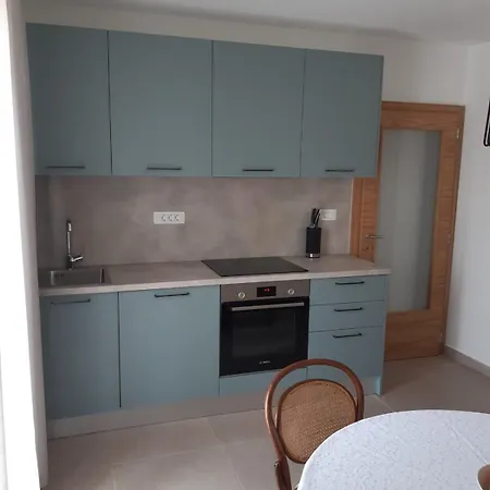 Apartment Cerovic *