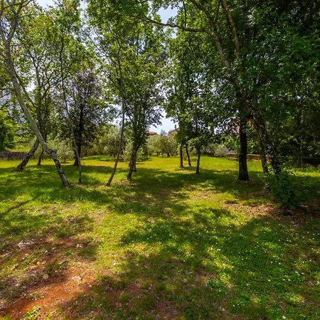 Cerovic * 马林斯卡